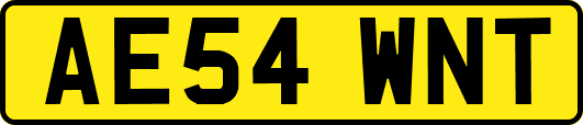 AE54WNT