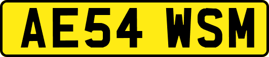 AE54WSM