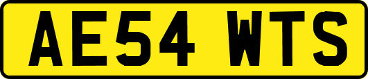 AE54WTS