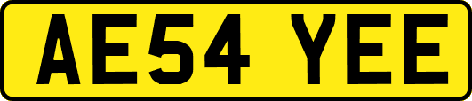 AE54YEE