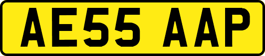 AE55AAP