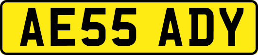 AE55ADY