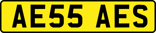 AE55AES