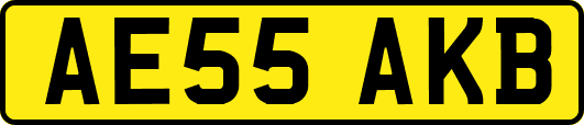 AE55AKB
