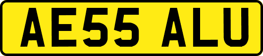 AE55ALU