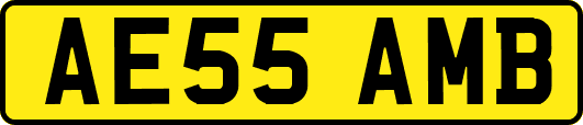 AE55AMB