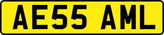 AE55AML