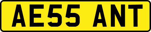AE55ANT