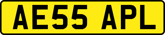 AE55APL