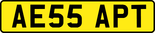 AE55APT