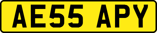 AE55APY
