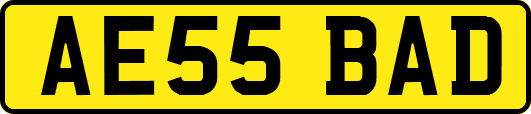 AE55BAD