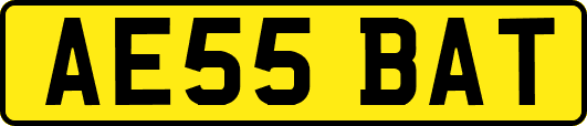 AE55BAT