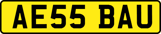 AE55BAU