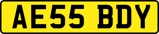 AE55BDY