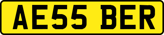 AE55BER
