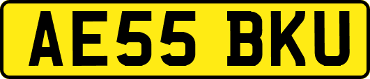 AE55BKU