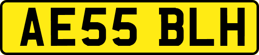 AE55BLH