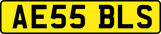 AE55BLS