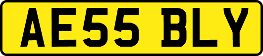 AE55BLY