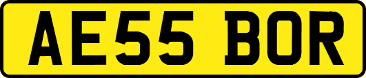 AE55BOR