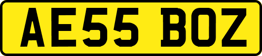 AE55BOZ