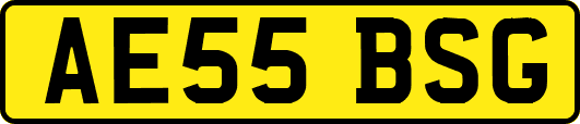AE55BSG