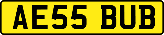 AE55BUB