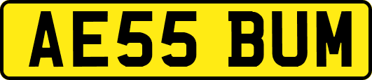 AE55BUM