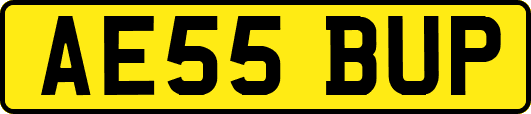 AE55BUP