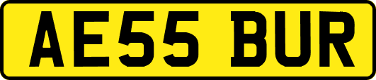 AE55BUR