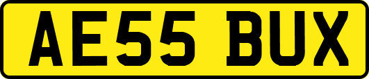 AE55BUX
