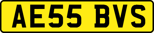 AE55BVS