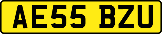 AE55BZU