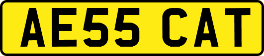 AE55CAT