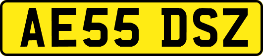 AE55DSZ