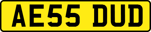 AE55DUD
