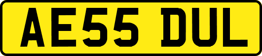 AE55DUL