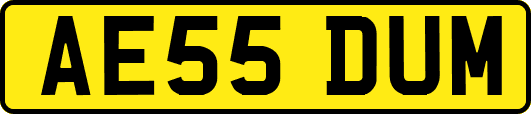 AE55DUM