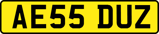 AE55DUZ