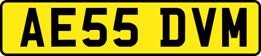 AE55DVM
