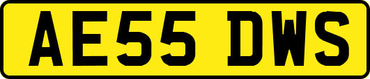 AE55DWS