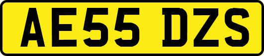 AE55DZS