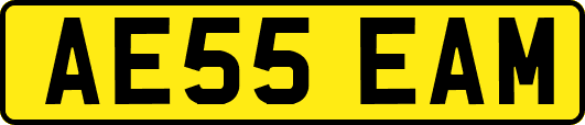 AE55EAM