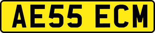 AE55ECM