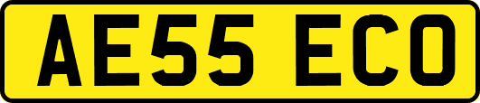 AE55ECO