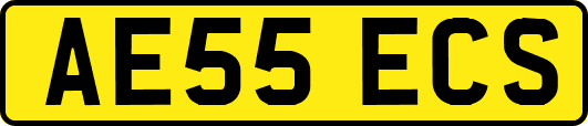 AE55ECS
