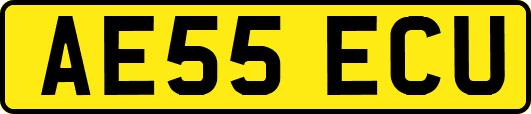 AE55ECU