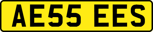 AE55EES