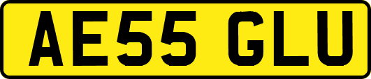 AE55GLU